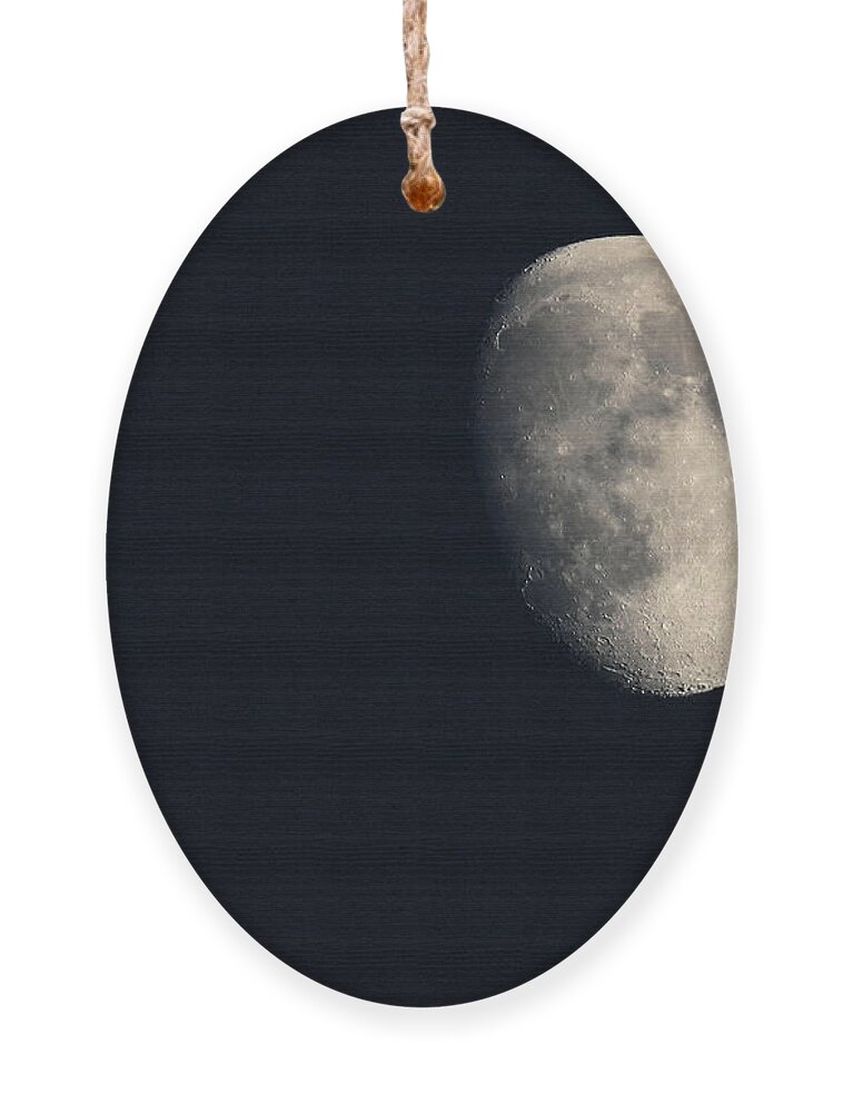 Moon Ornament featuring the photograph Lunar Surface by Angela Rath