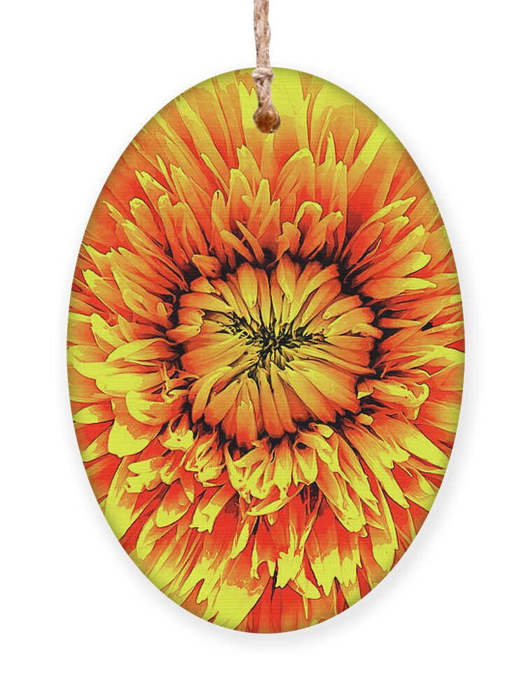 Macro Ornament featuring the digital art Macro Flower Petals by Phil Perkins