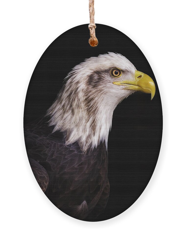 Bald Eagle Ornament featuring the photograph Majesty On Black by Bill and Linda Tiepelman