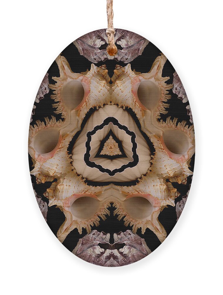 Seashells Ornament featuring the photograph Mandala Murex and Barnacle Shell by Nancy Griswold