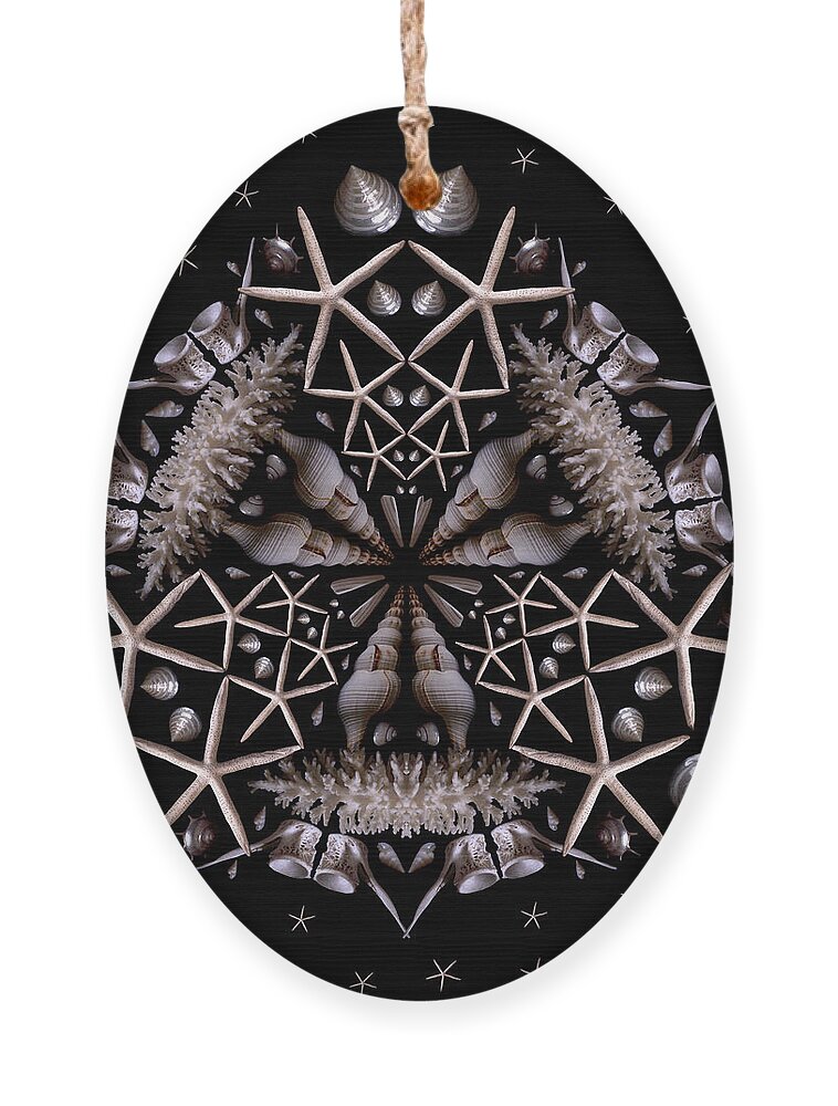 Shell Ornament featuring the photograph Mandala White Sea Star by Nancy Griswold