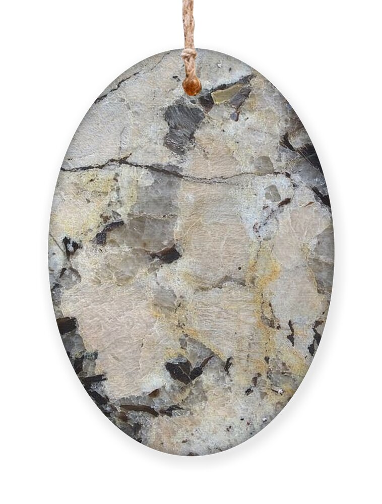 Marble Ornament featuring the photograph Marble Tan Black by Delynn Addams