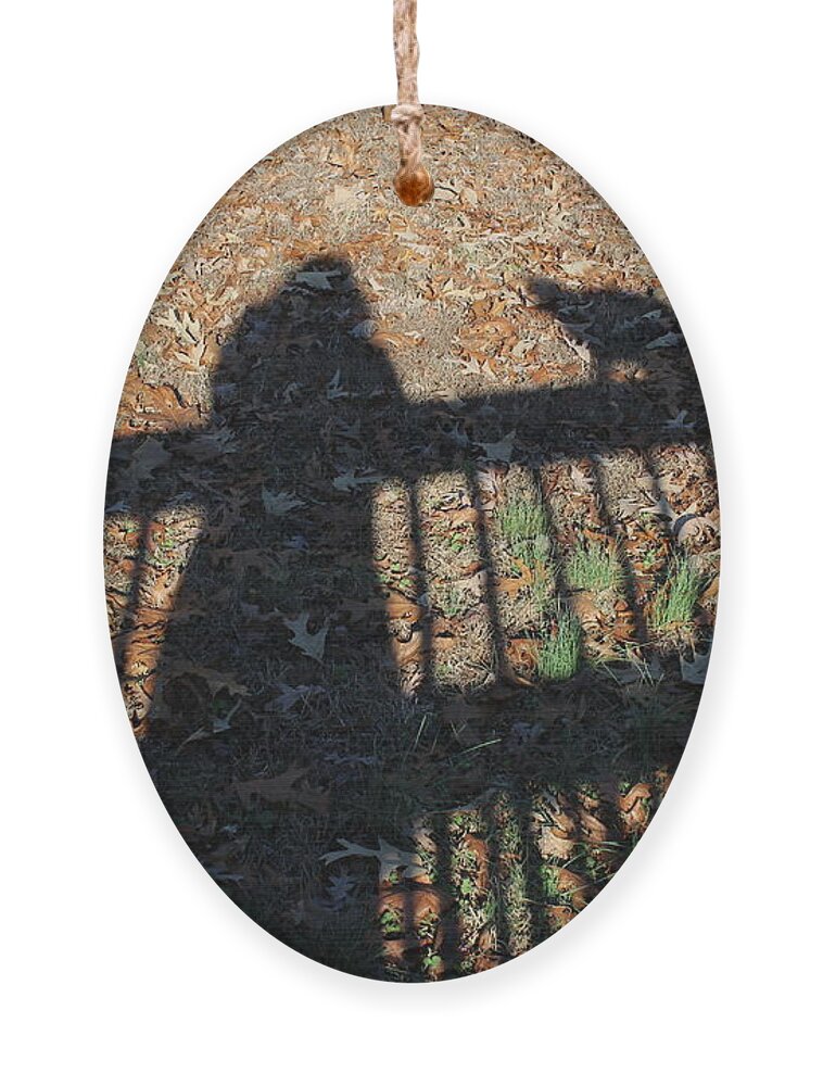Shadow Ornament featuring the photograph Me and My Shadow by Ali Baucom