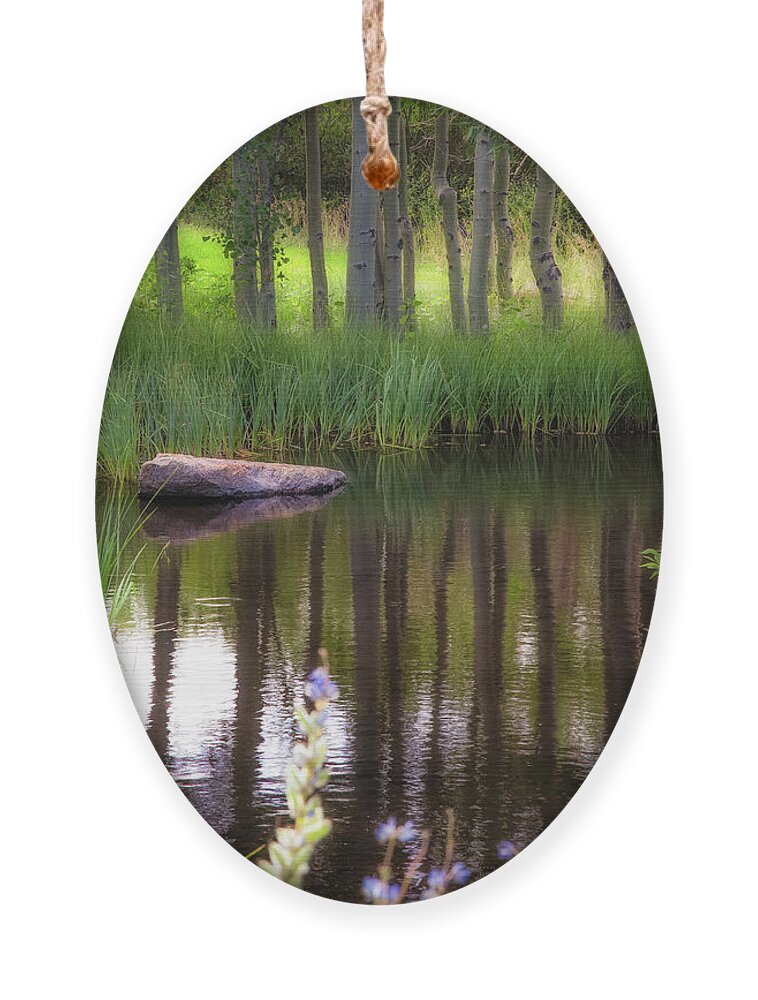 Meadow Ornament featuring the photograph Meadow Pond by Anthony Michael Bonafede