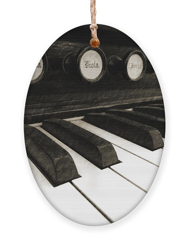 Music History Ornament featuring the photograph Melodia by David T Wilkinson