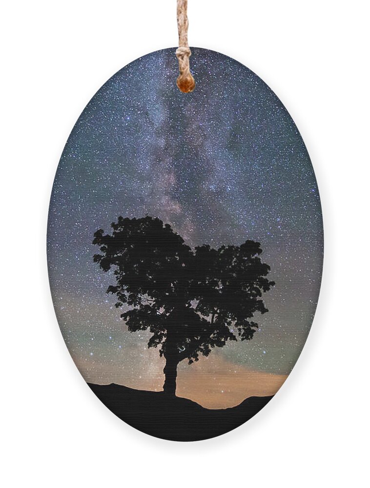 Milky Way Ornament featuring the photograph Milky Way, Mars and Heart Tree by White Mountain Images