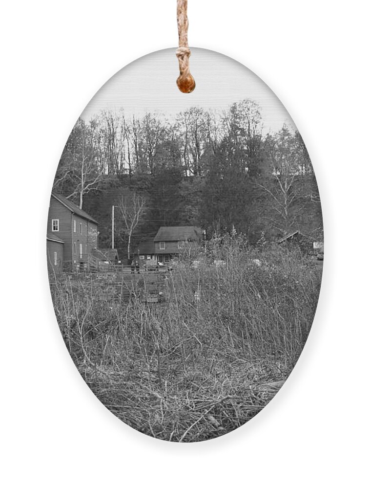 Clinton Ornament featuring the photograph Mill at Clinton Among the Reeds by Christopher Lotito