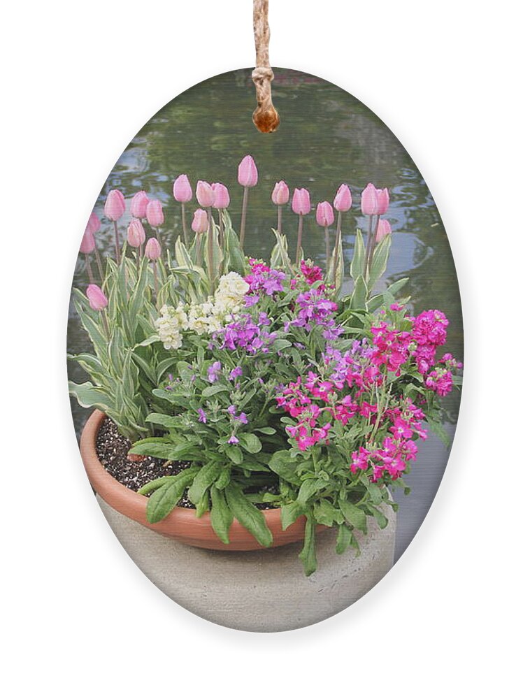 Flowers Ornament featuring the photograph Mixed Flower Planter by Allen Nice-Webb