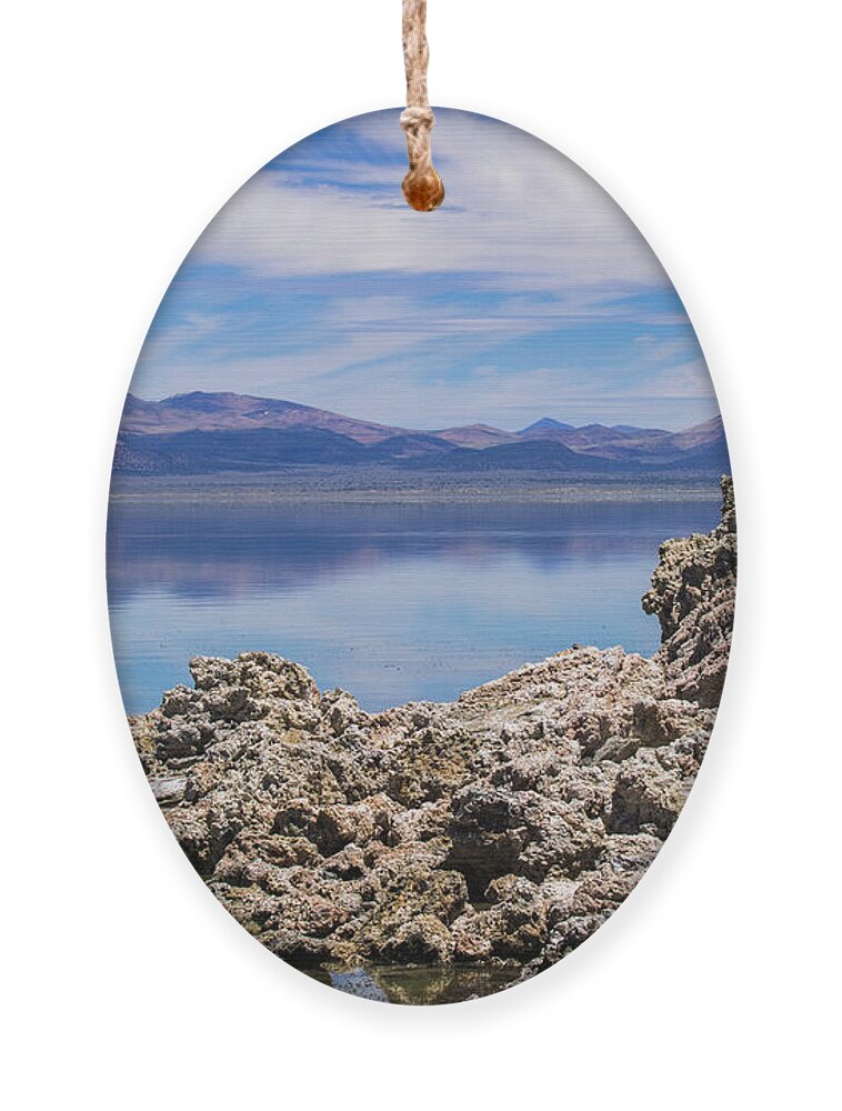  Ornament featuring the photograph Mono Lake by Anthony Michael Bonafede