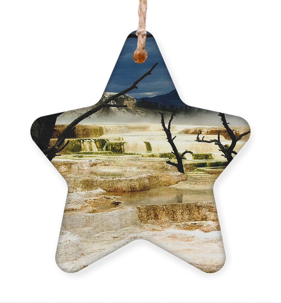 Algae Mats Ornament featuring the photograph Moody Minerva by Lana Trussell