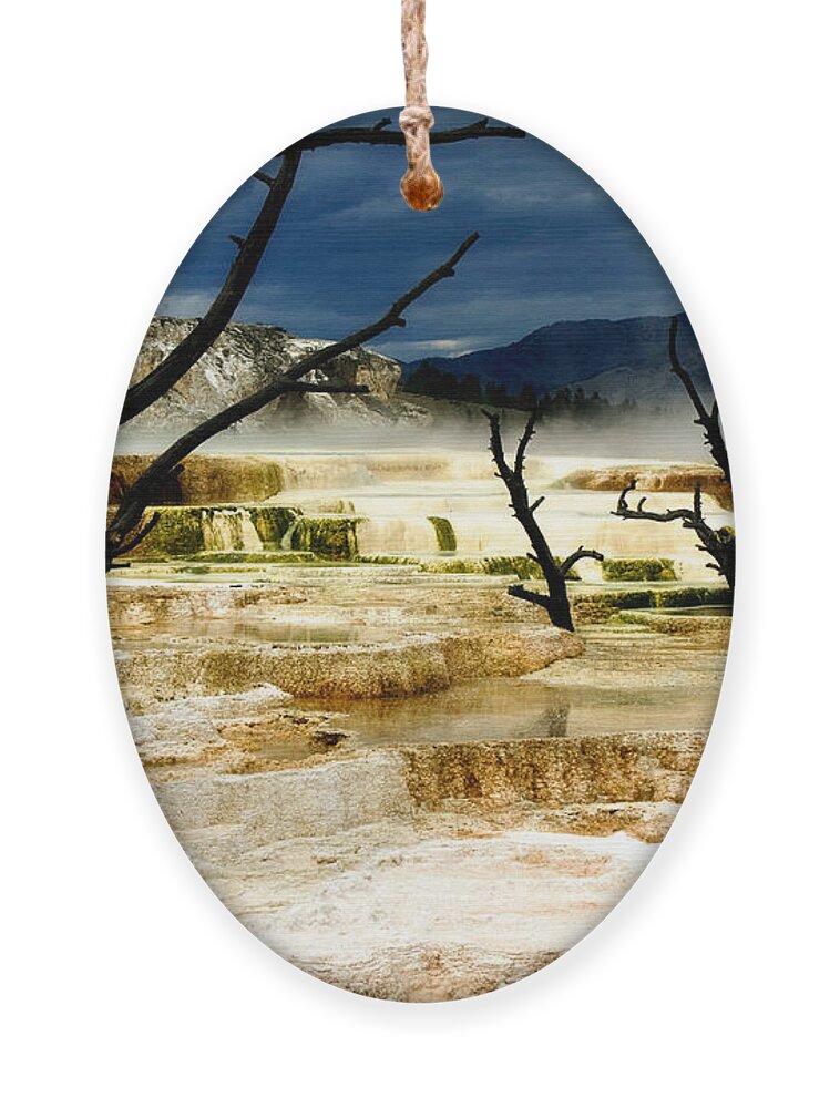 Algae Mats Ornament featuring the photograph Moody Minerva by Lana Trussell