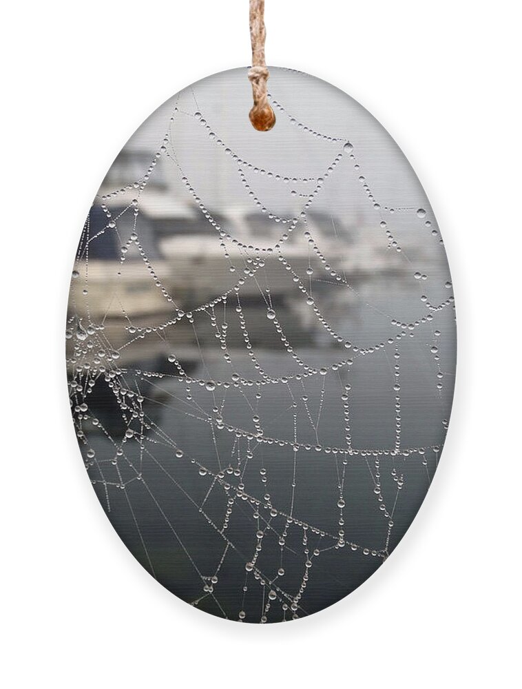 Foggy Ornament featuring the photograph Morning Dew at the Marina by David T Wilkinson