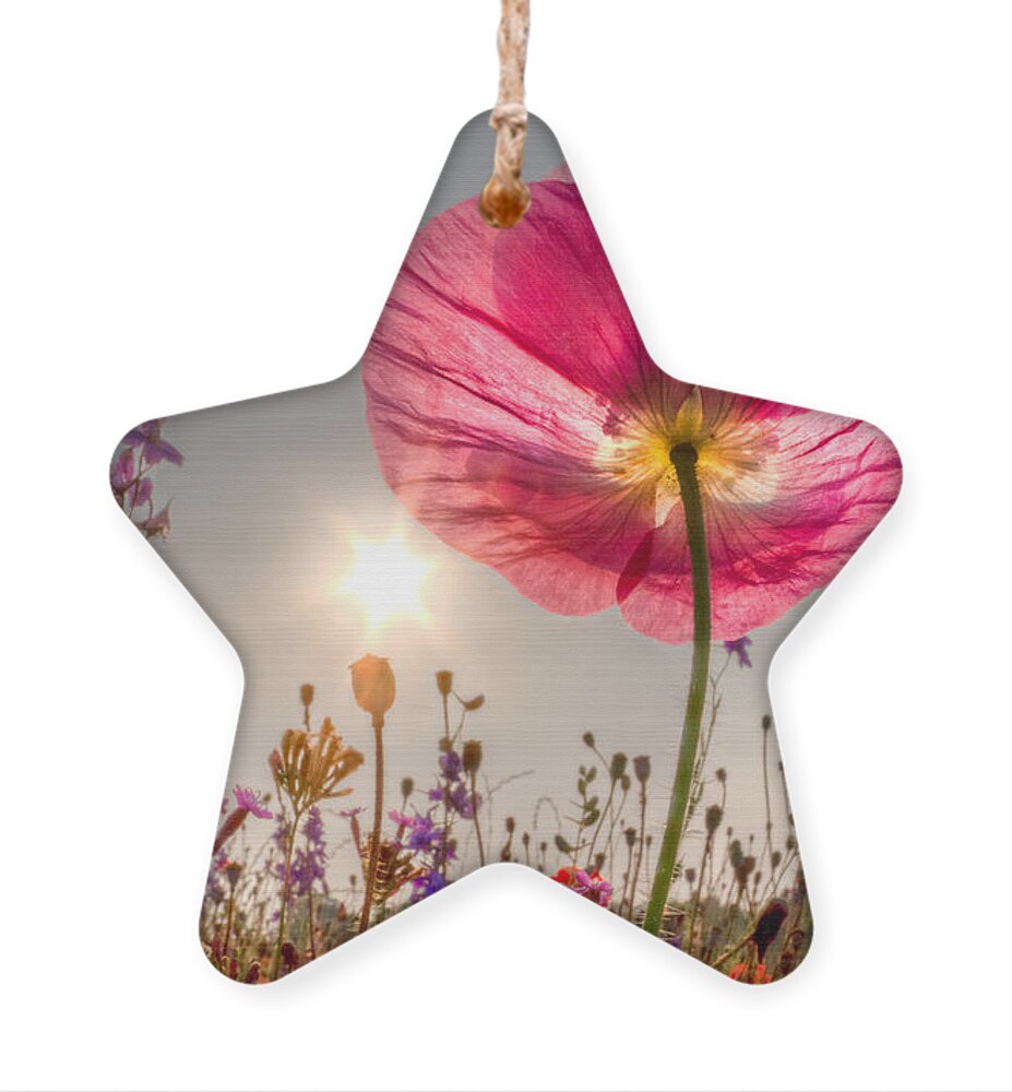 Fog Ornament featuring the photograph Morning Pink by Debra and Dave Vanderlaan