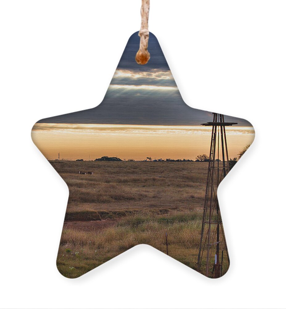 Hennessey Ornament featuring the photograph Morning Rays by Lana Trussell