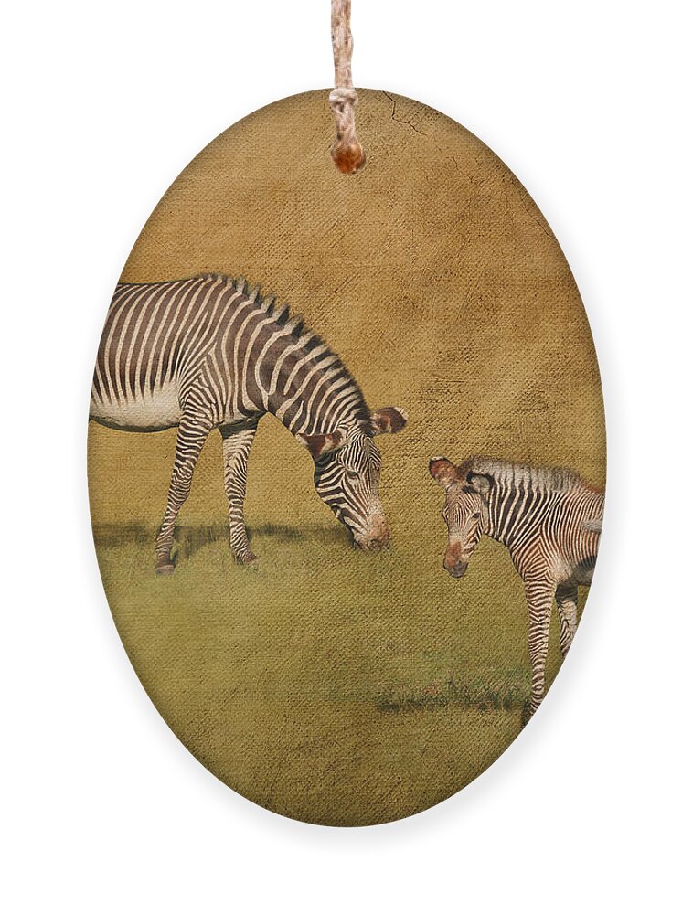 Zebras Ornament featuring the digital art Mother and Child by Jayne Carney