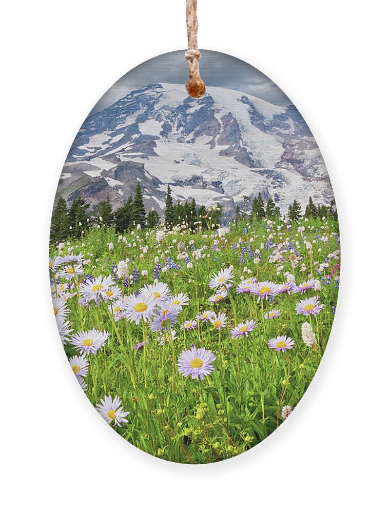 Alpine Ornament featuring the photograph Mount Rainier and a Meadow of Aster by Jeff Goulden