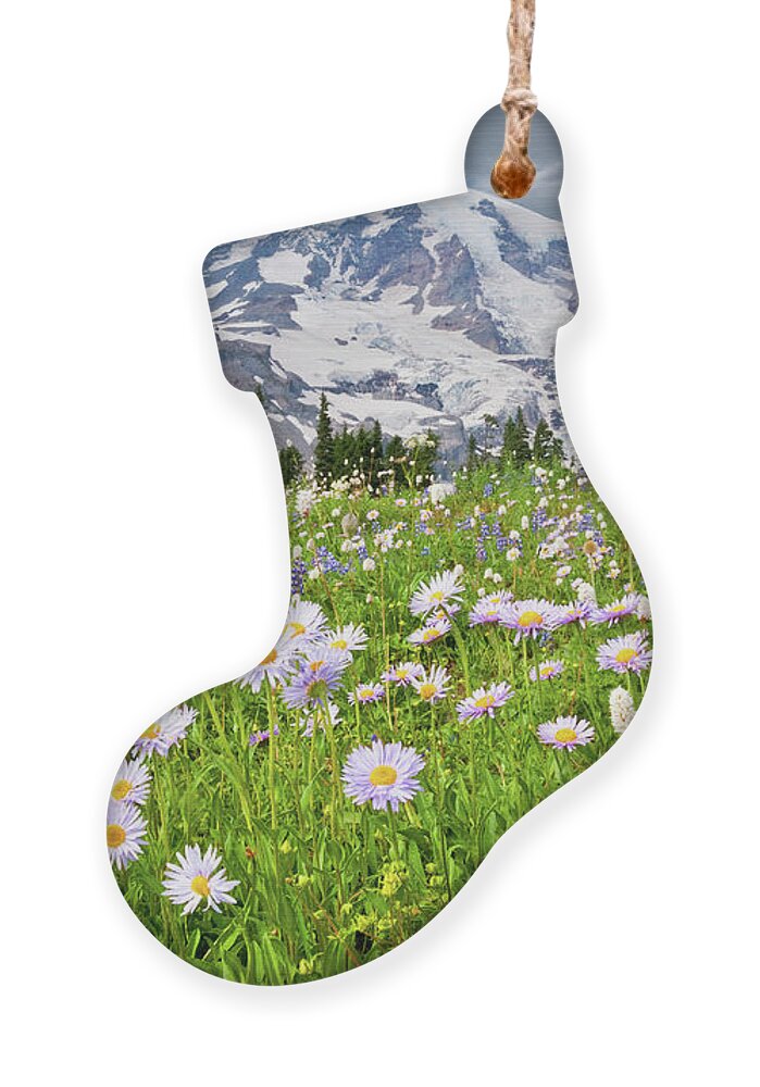 Alpine Ornament featuring the photograph Mount Rainier and a Meadow of Aster by Jeff Goulden