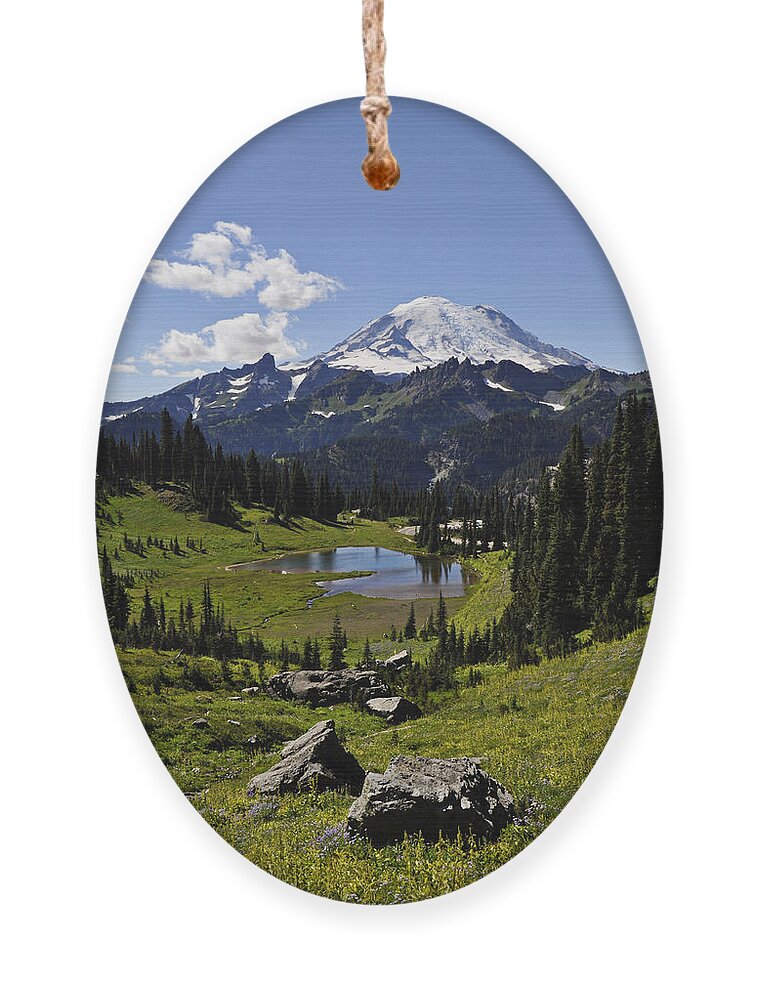 Colorful Ornament featuring the photograph Mount Rainier by Pelo Blanco Photo