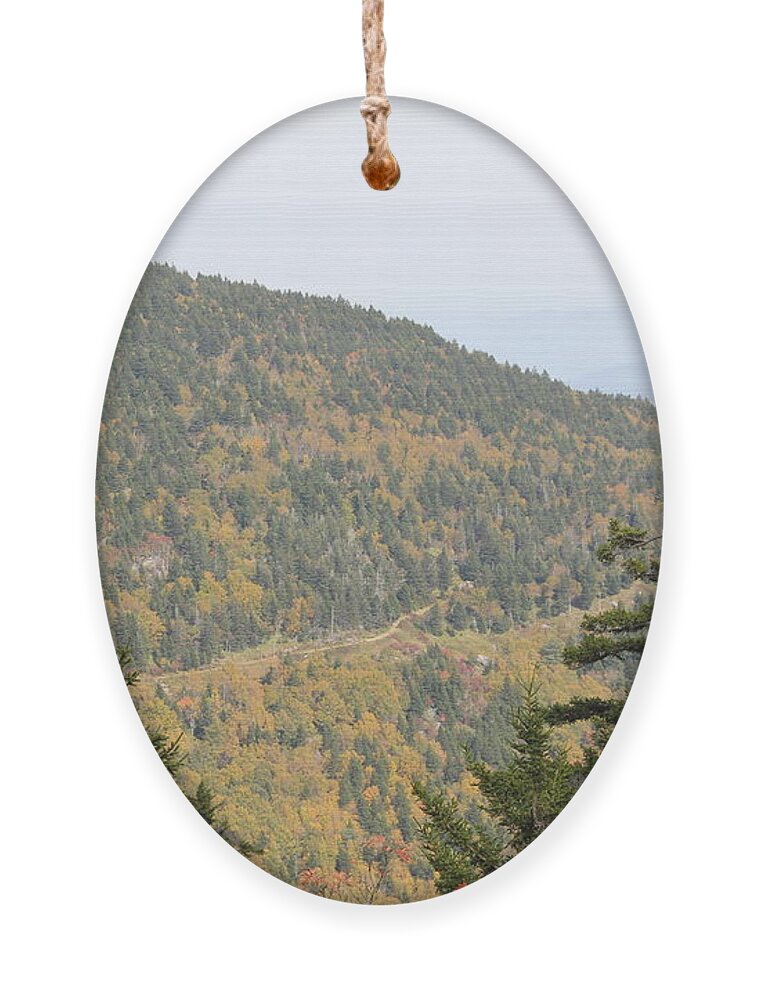 Path Ornament featuring the photograph Mountain Passage by Allen Nice-Webb