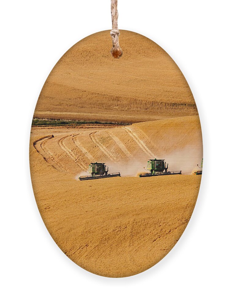 Harvest Ornament featuring the photograph Moving Forward by Mary Jo Allen