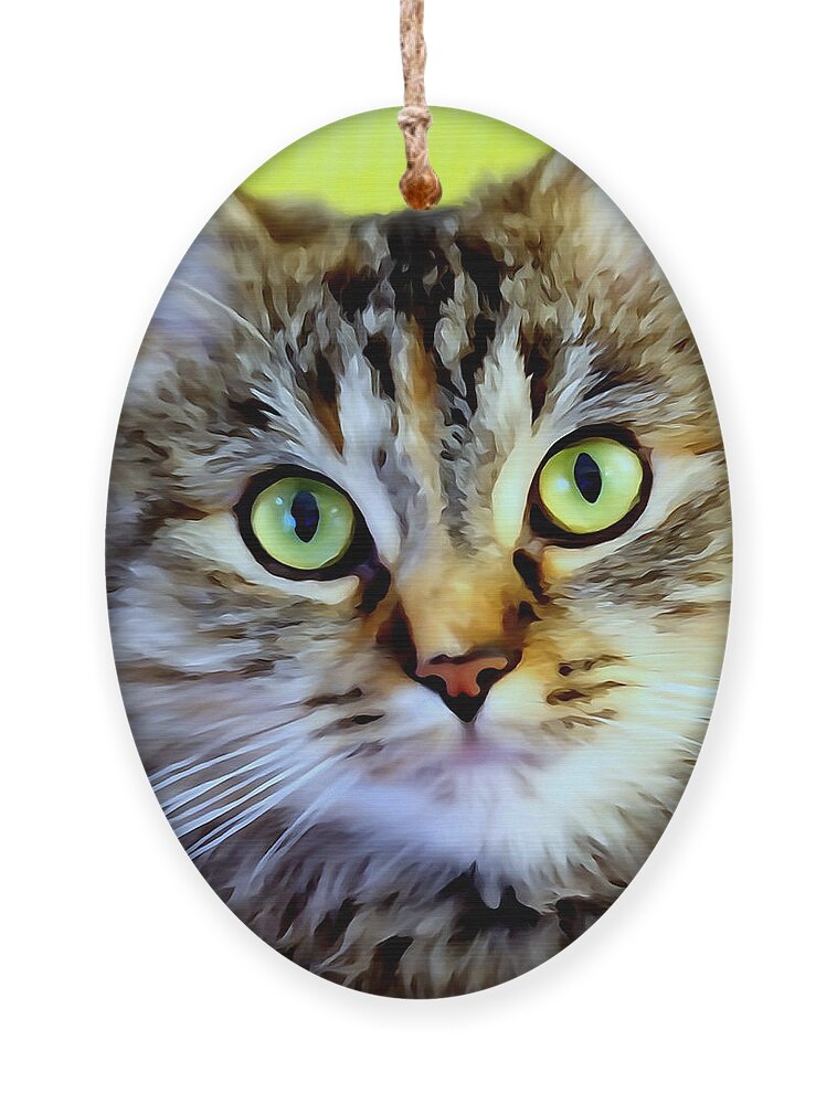 Cat Ornament featuring the photograph My Sweet Lil Beast by Lori Lafargue