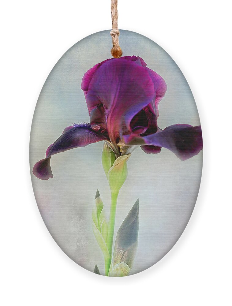 Black Iris Print Ornament featuring the photograph Mystical Black Iris Print by Gwen Gibson