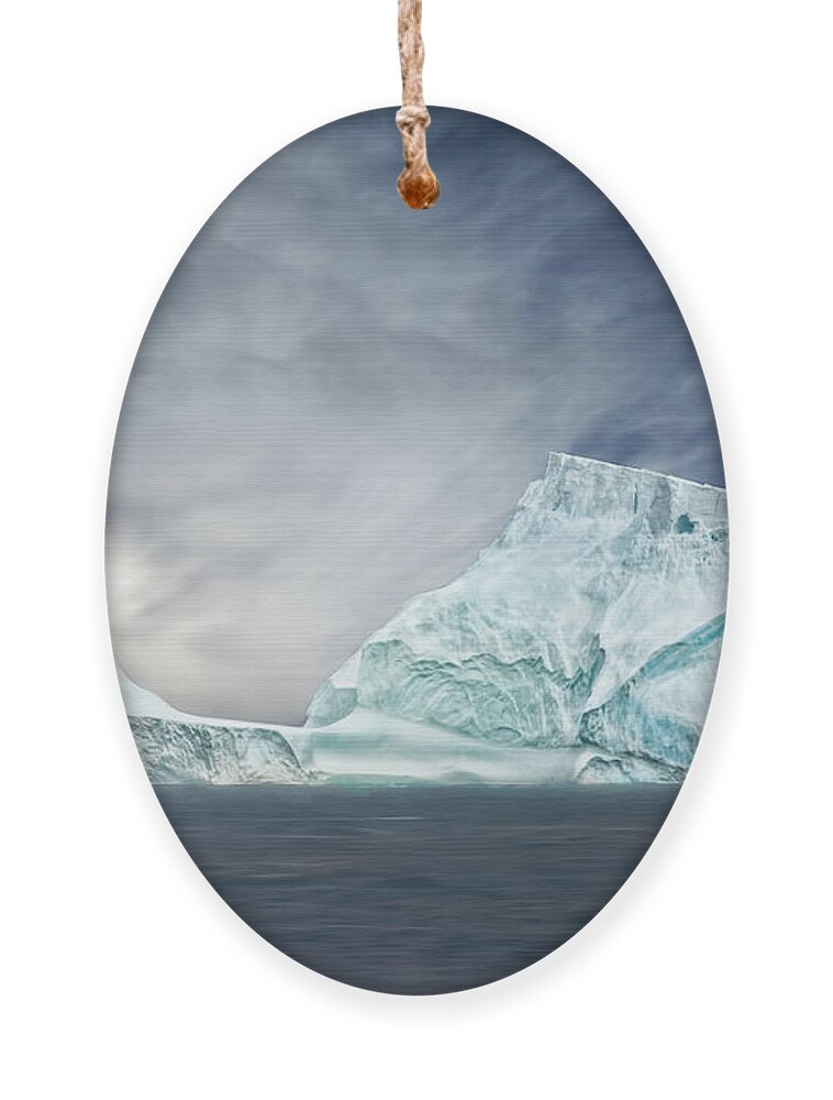 Antarctic Ornament featuring the photograph Nature's Art Work by Maria Coulson
