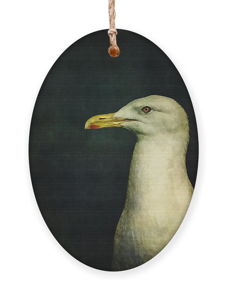 Seagull Ornament featuring the photograph Naujaq by Priska Wettstein
