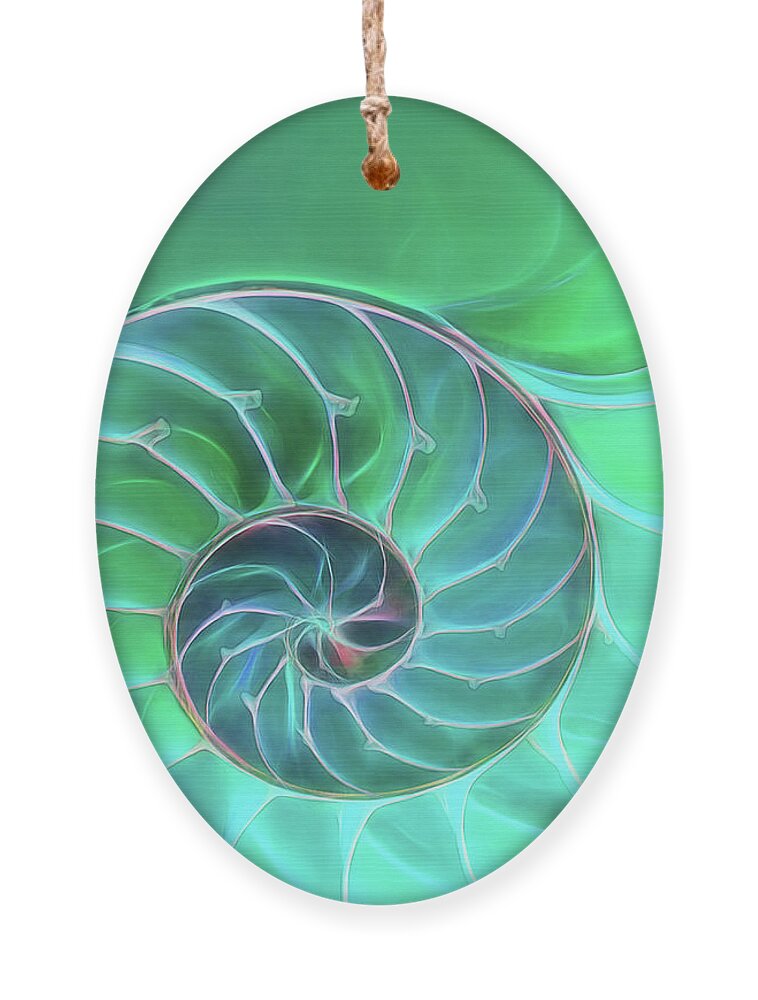 Sea Shell Ornament featuring the photograph Nautilus Aqua Spiral by Gill Billington