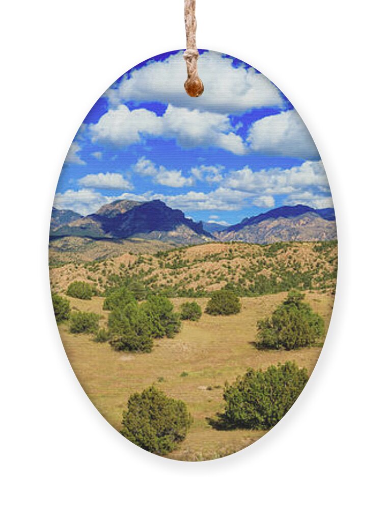 Gila National Forest Ornament featuring the photograph New Mexico Beauty by Raul Rodriguez