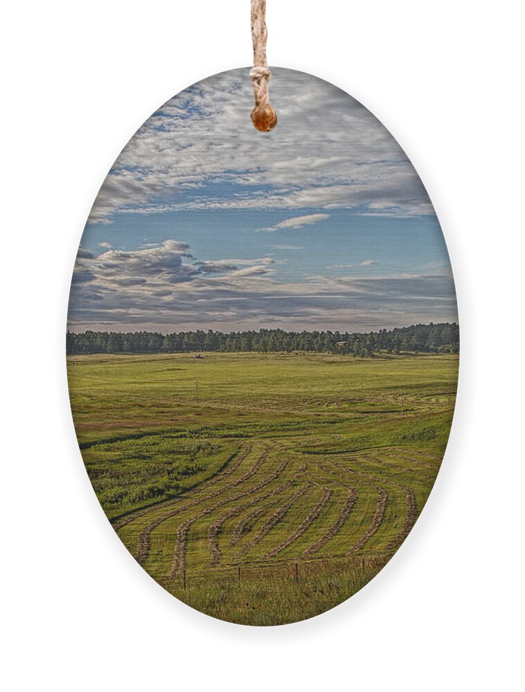 Landscape Ornament featuring the photograph New Mown Hay by Alana Thrower