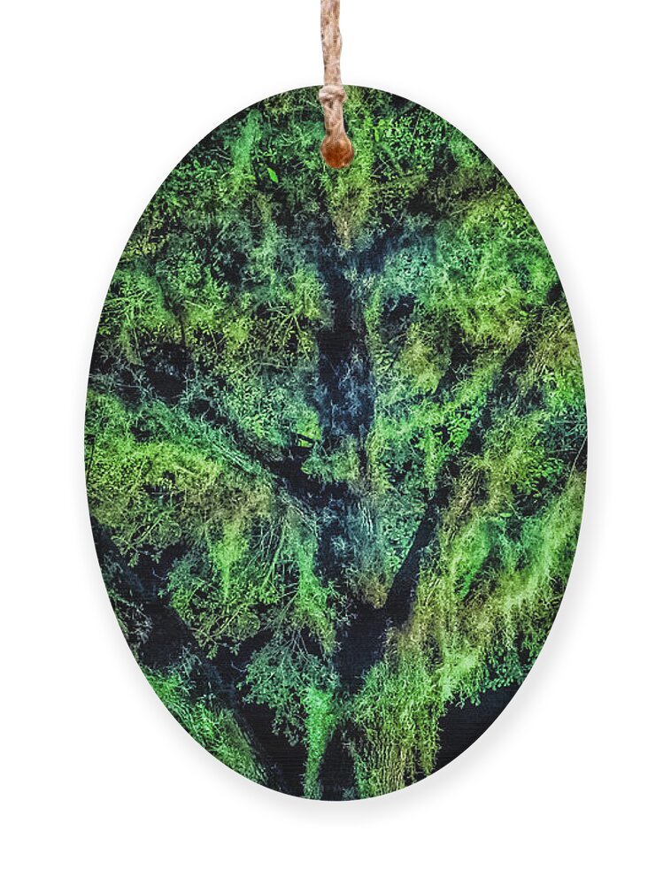 Tree Ornament featuring the photograph Night Moss by Joseph Desiderio