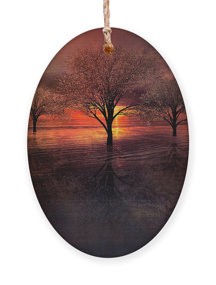 Clouds Ornament featuring the photograph Nightfall at the Dunes by Debra and Dave Vanderlaan
