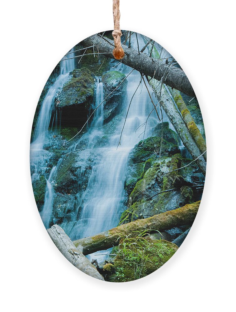 Nine Mile Falls Ornament featuring the photograph Nine Mile Falls by Troy Stapek