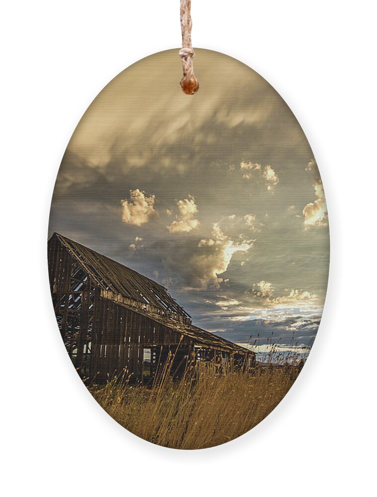 Barn Ornament featuring the photograph Old Barn by Wesley Aston