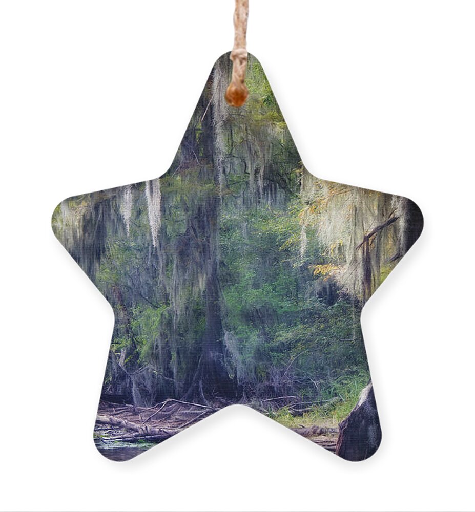 Spanish Moss Ornament featuring the photograph Old Mans Beard by Lana Trussell