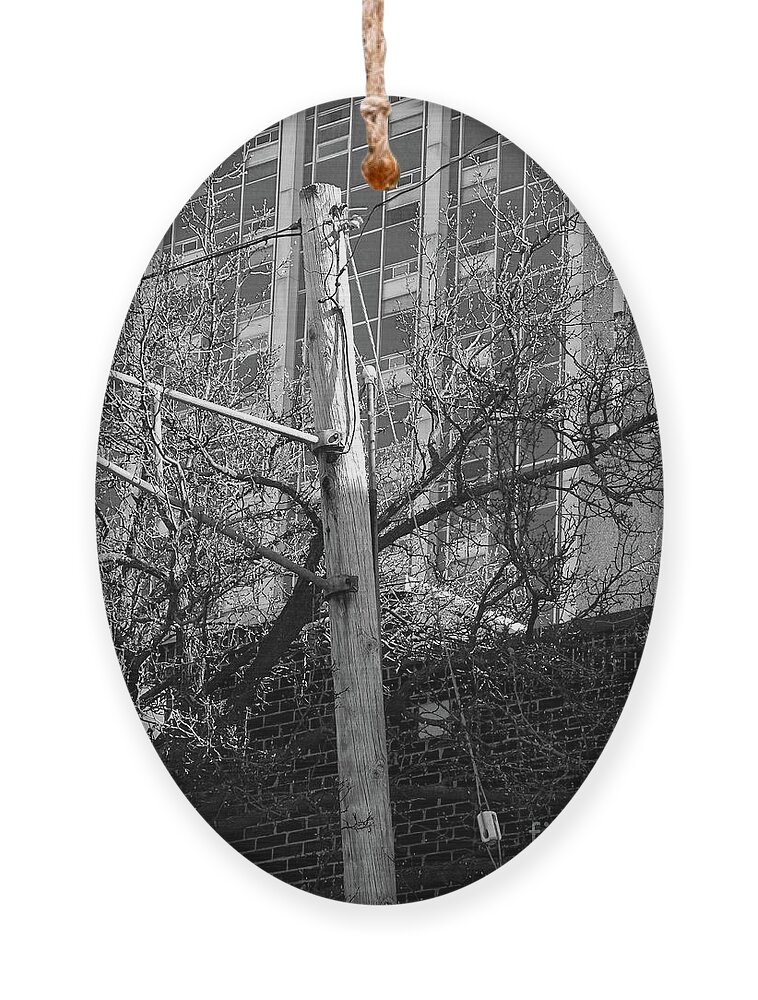 Telephone Pole Ornament featuring the digital art Old Telephone Pole by Phil Perkins