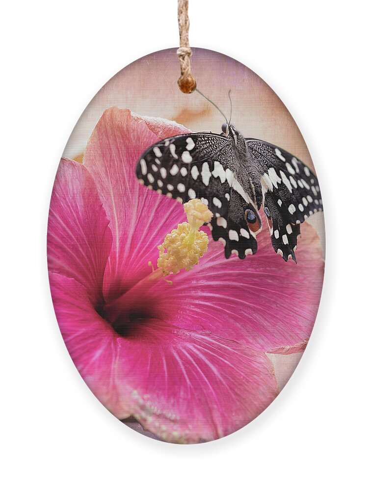 Butterfly Ornament featuring the photograph Old World Swallowtail on Pink Hibiscus by Susan Rissi Tregoning