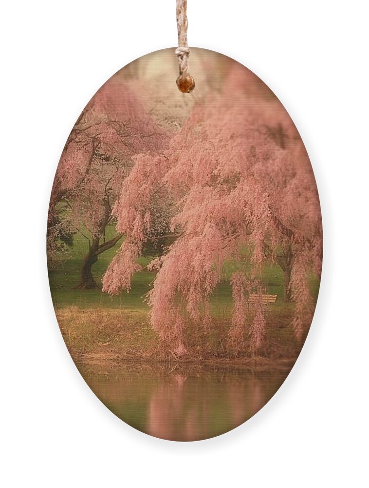 Cherry Blossom Trees Ornament featuring the photograph One Spring Day - Holmdel Park by Angie Tirado