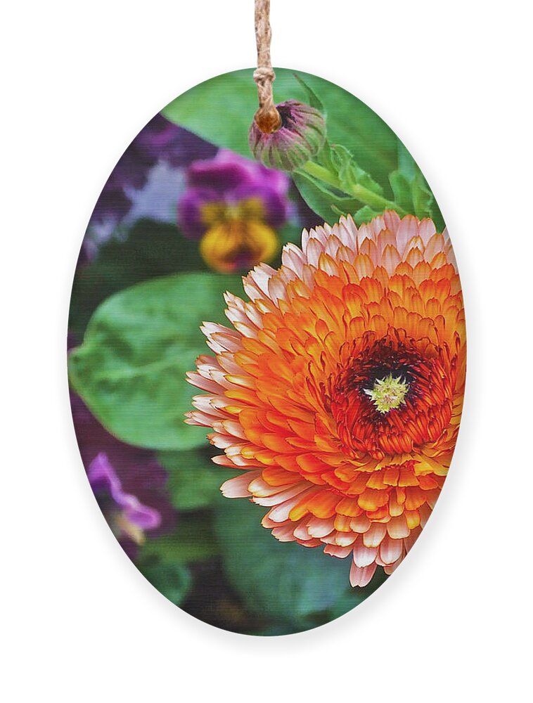 Flowers Ornament featuring the photograph Orange Explosion by Janis Senungetuk