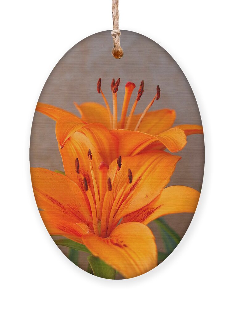 Flower Ornament featuring the photograph Orange Lilies 3 by Amy Fose