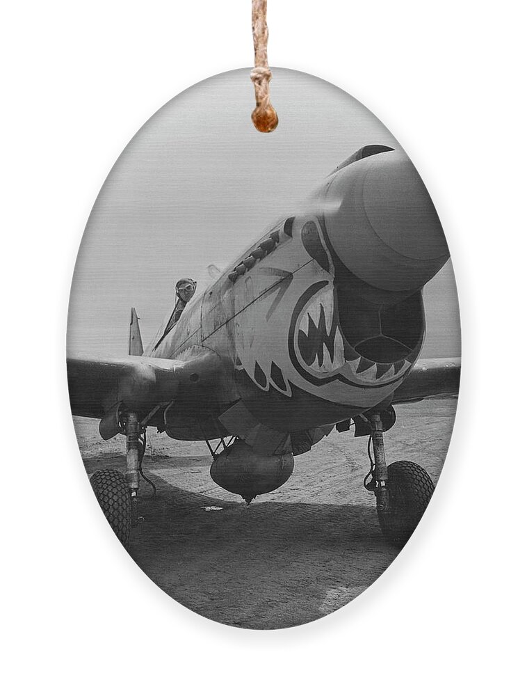 Ww2 Ornament featuring the photograph P-40 Warhawk - Flying Tiger by War Is Hell Store