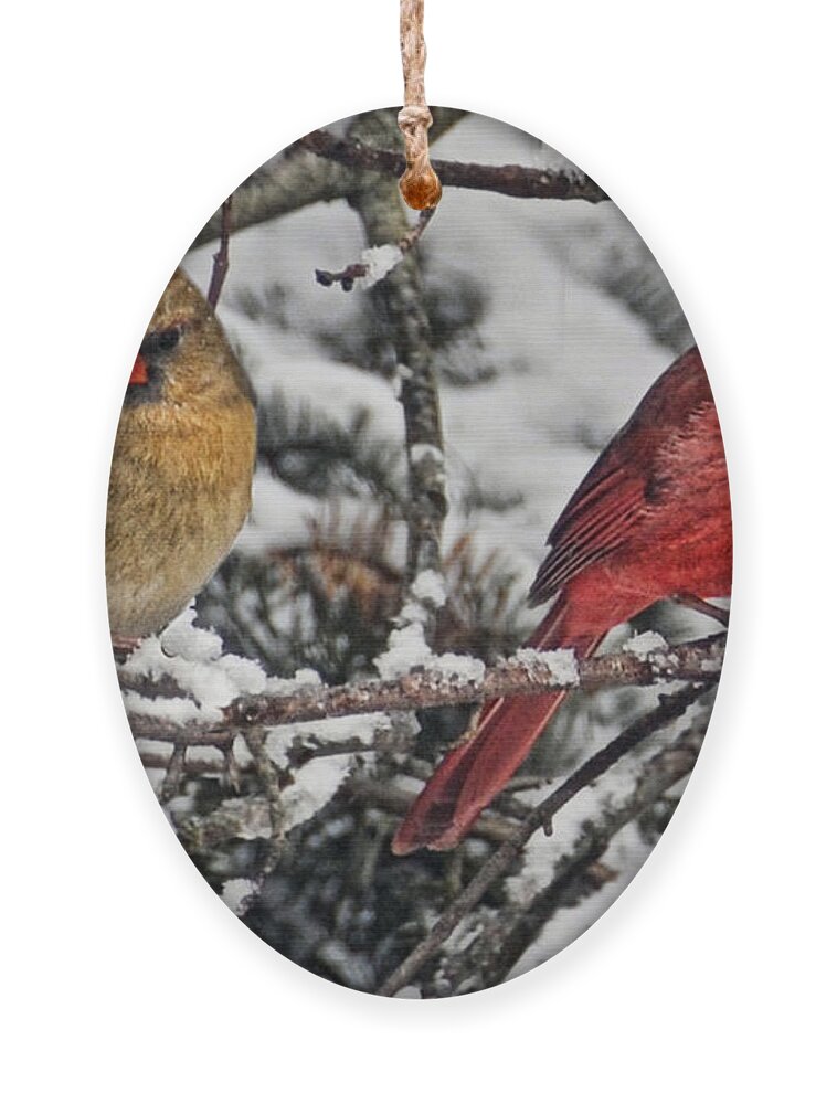 Cardinals Ornament featuring the photograph Pair of Cardinals in Winter by Peg Runyan