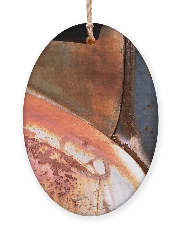 Abstract Ornament featuring the photograph Panel from Ole Bill by Steve Karol