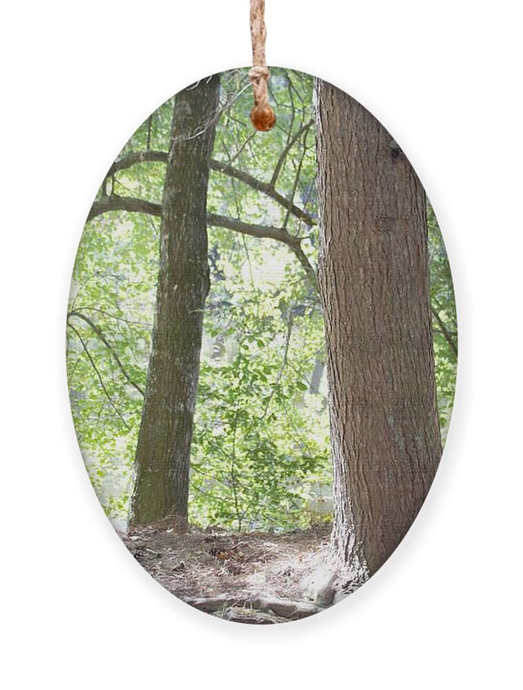 Trees Ornament featuring the photograph Peace by Ali Baucom