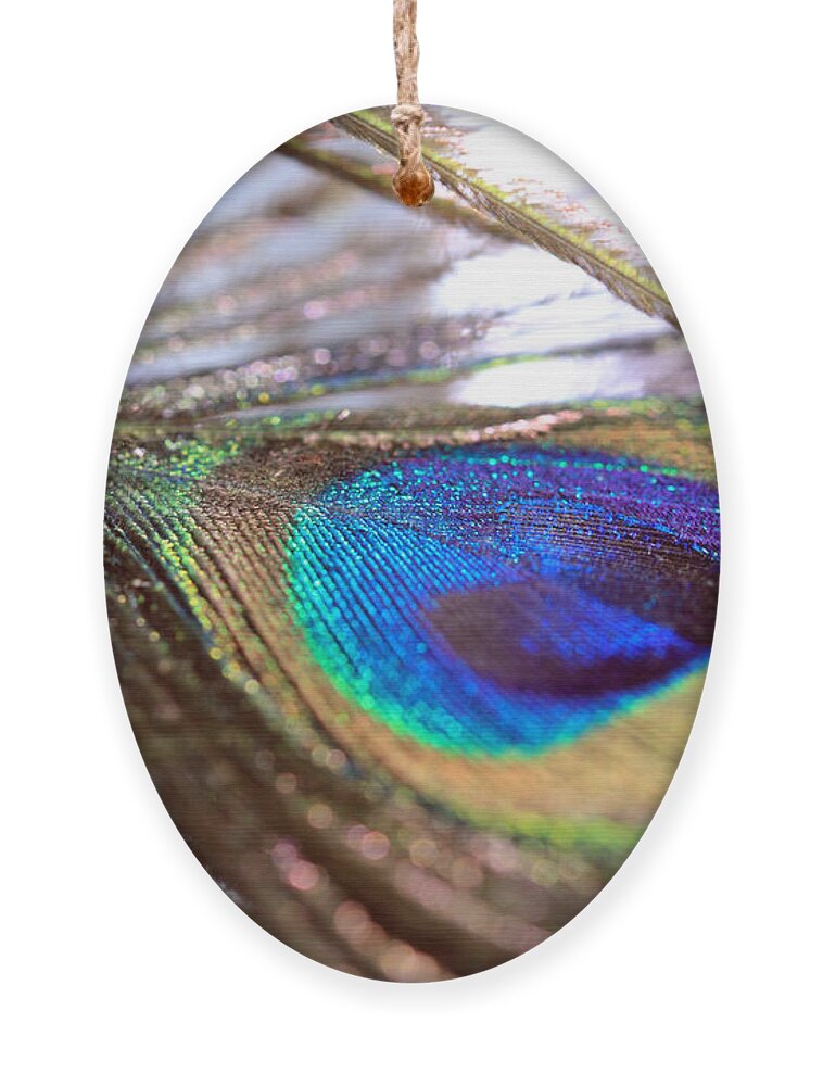 Peacock Feathers Ornament featuring the photograph Peacock Feather and Strands by Angela Murdock