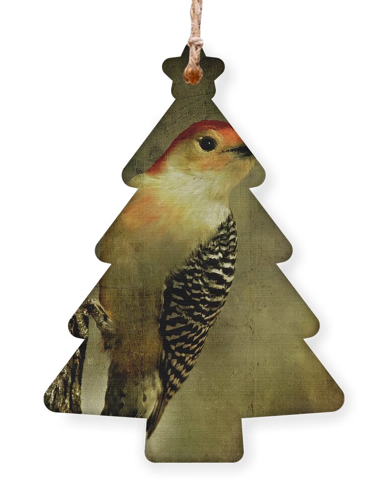 Animal Ornament featuring the digital art Perched and Ready - Weathered by Lana Trussell