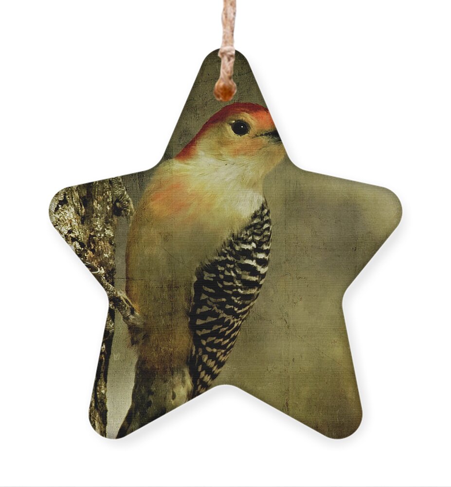 Animal Ornament featuring the digital art Perched and Ready - Weathered by Lana Trussell
