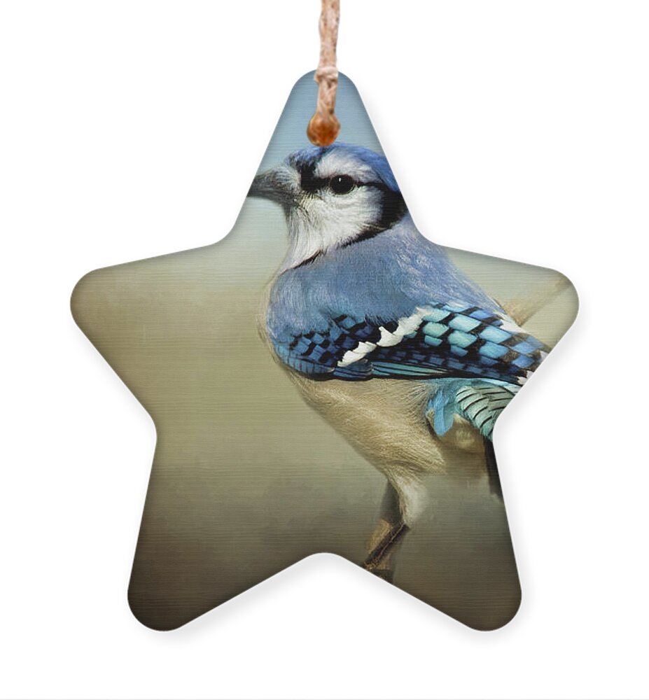 Animal Ornament featuring the photograph Perched Blue Jay by Lana Trussell
