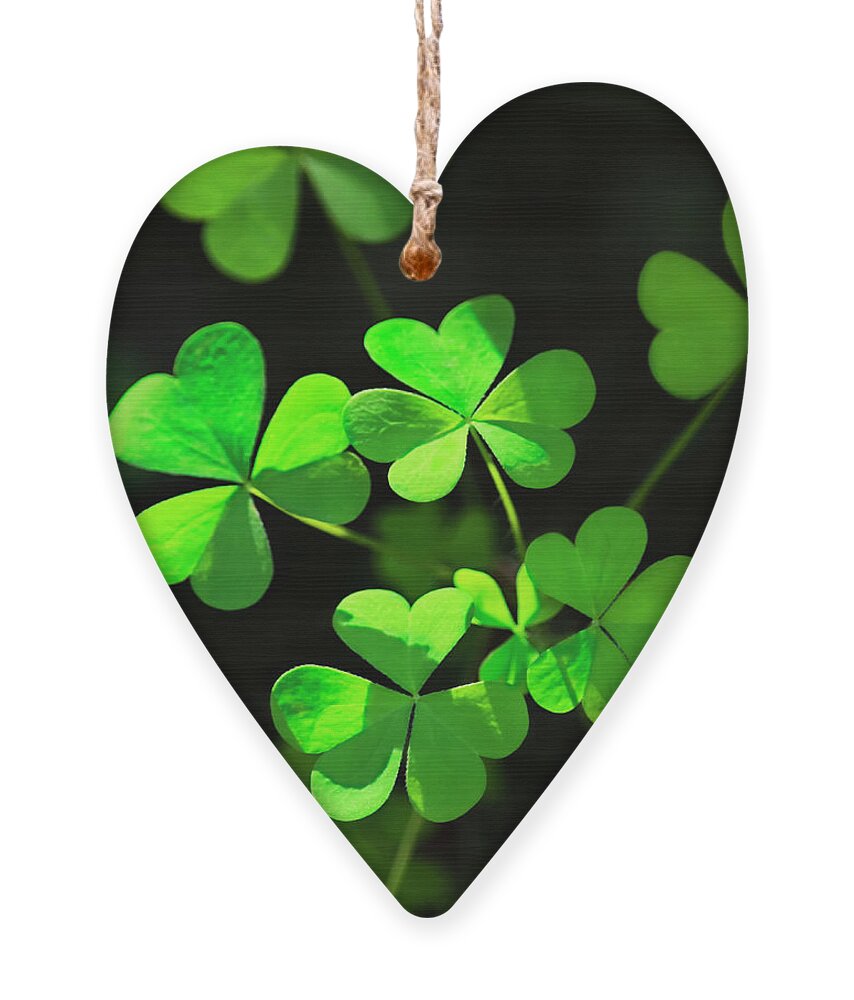 Clover Ornament featuring the photograph Perfect Green Shamrock Clovers by Christina Rollo